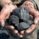 Coal