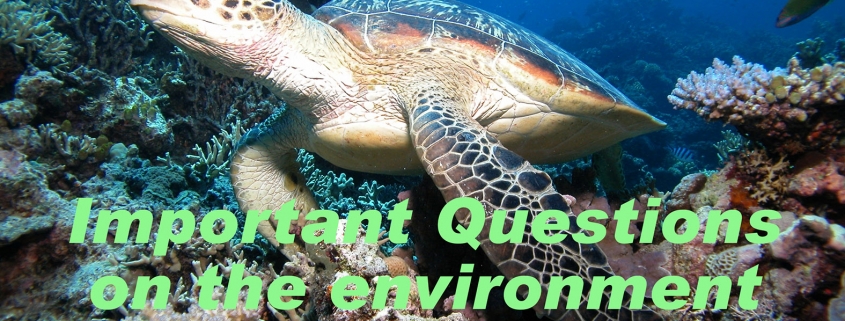 environment questions